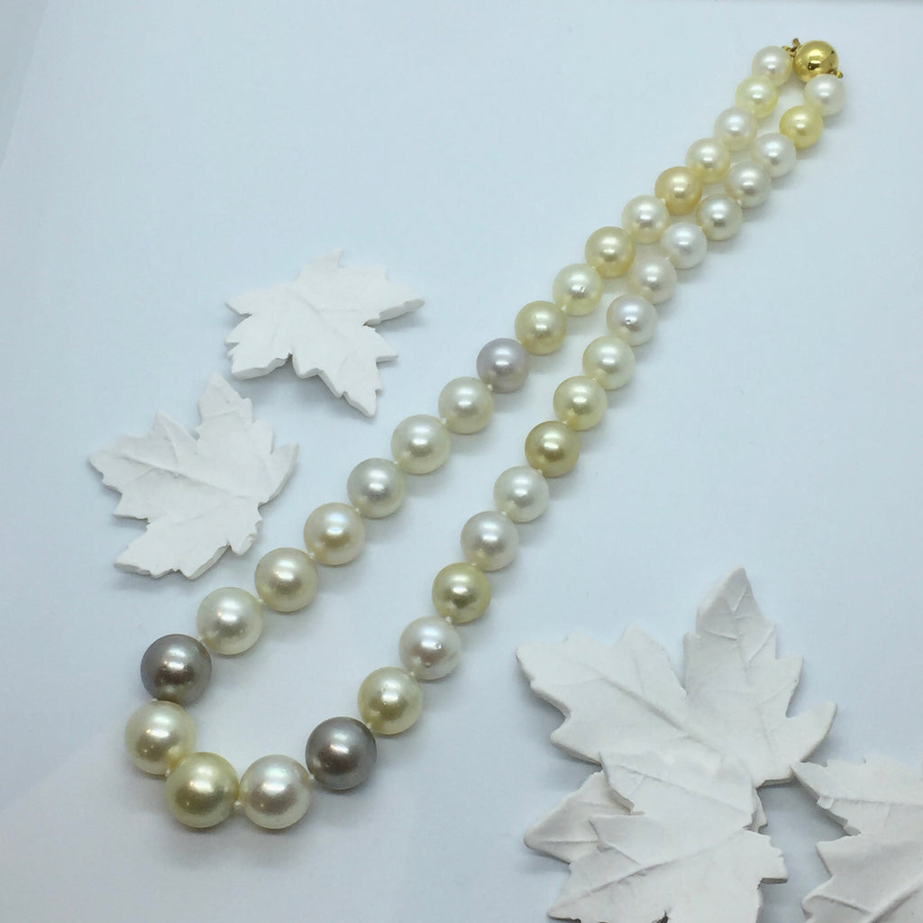 Multi-coloured Gold, Grey and White South Sea Graduated Pearl strand