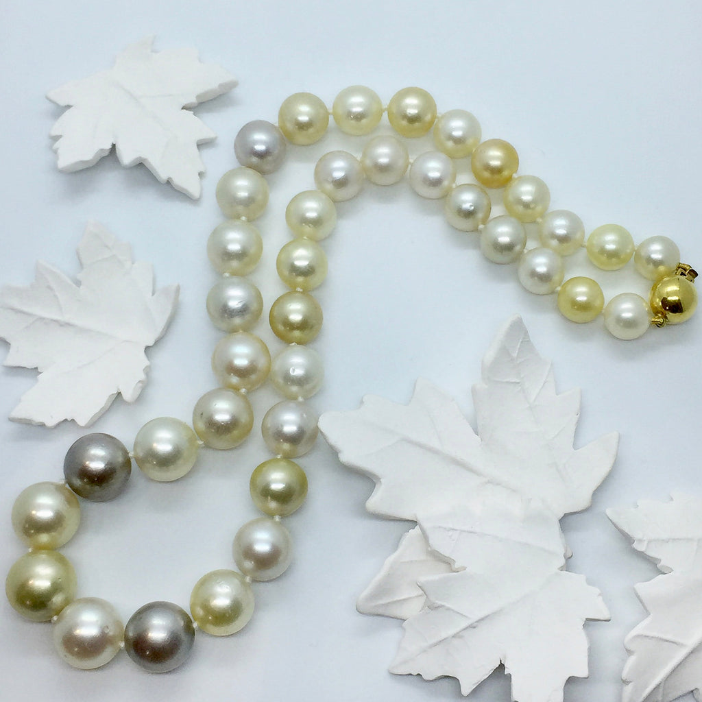 Multi-coloured Gold, Grey and White South Sea Graduated Pearl strand